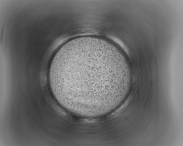 X0000111371407200907311024