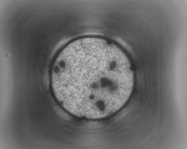 X0000111371408200907311024