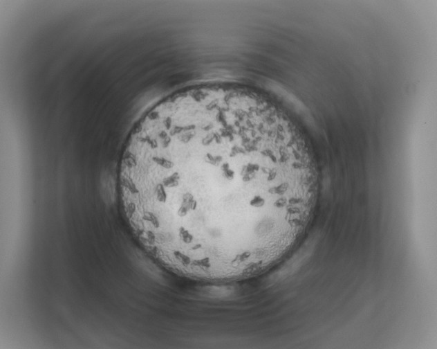 X0000111371409200907311024