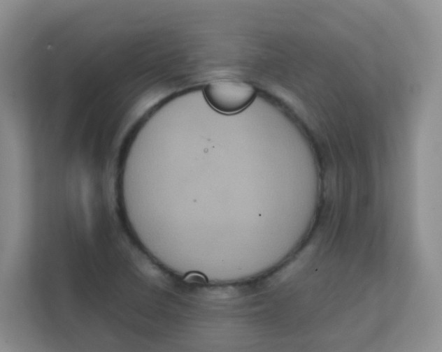 X0000111371410200907311024