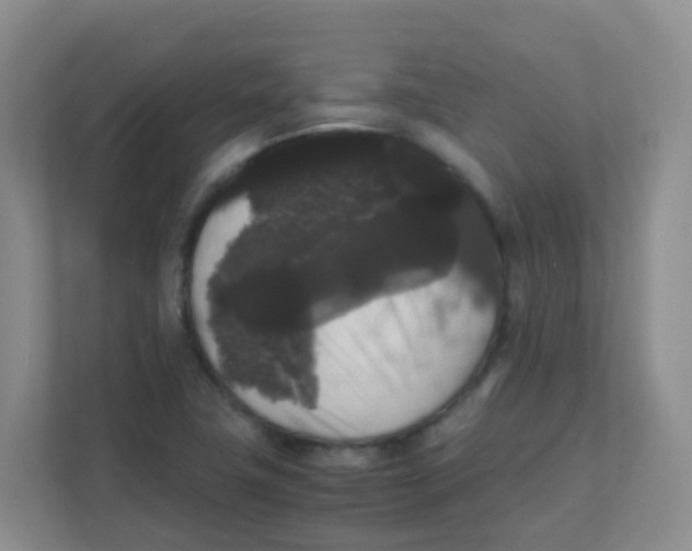 X0000111371411200907311024