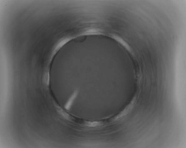 X0000111371413200907311024