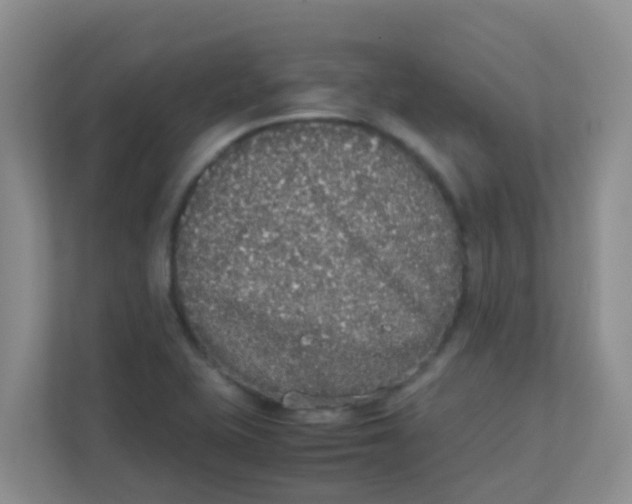 X0000111371415200907311024