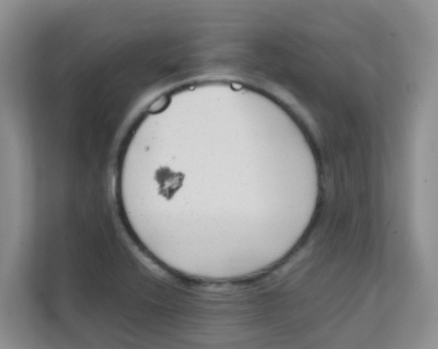 X0000111371416200907311024