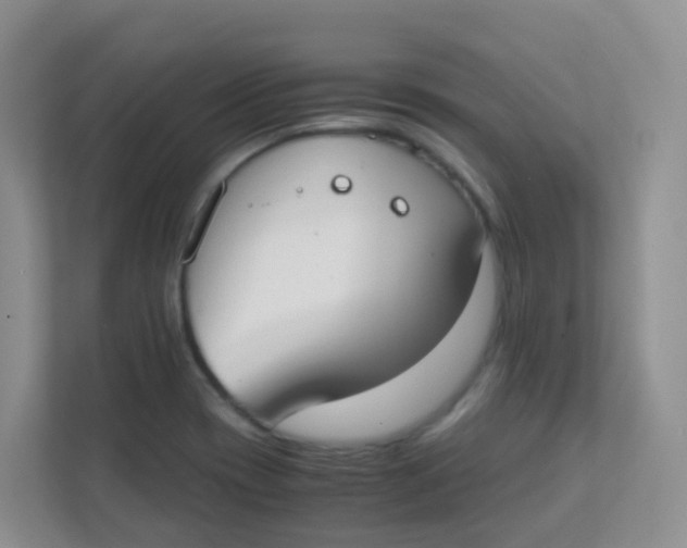 X0000111371417200907311024