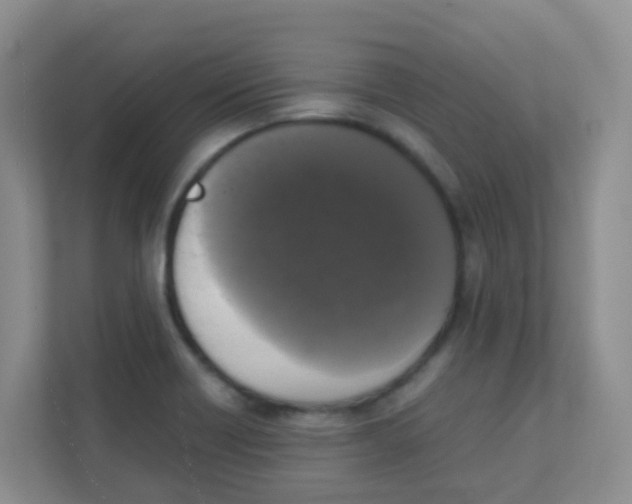 X0000111371418200907311024