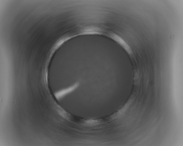 X0000111371419200907311024