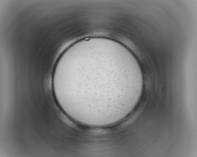 X0000111371420200907311024