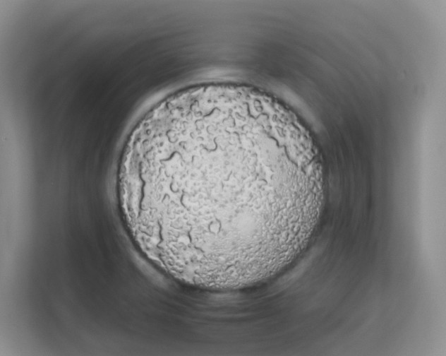 X0000111371421200907311024