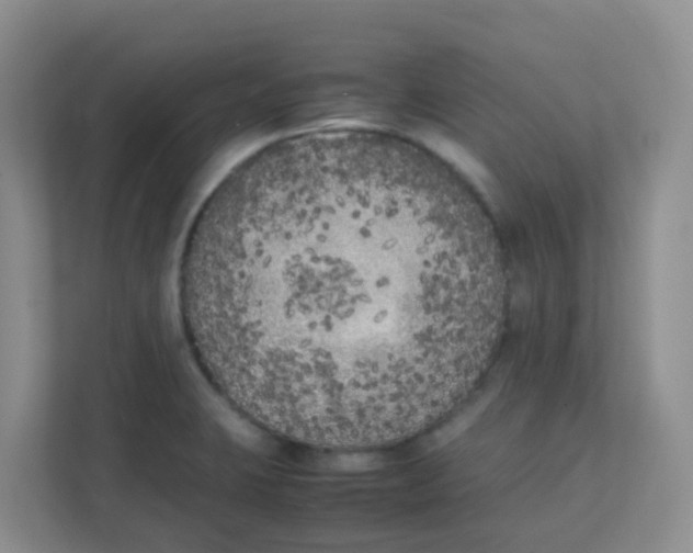 X0000111371423200907311024