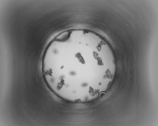 X0000111371424200907311024