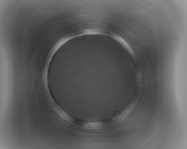 X0000111371427200907311024