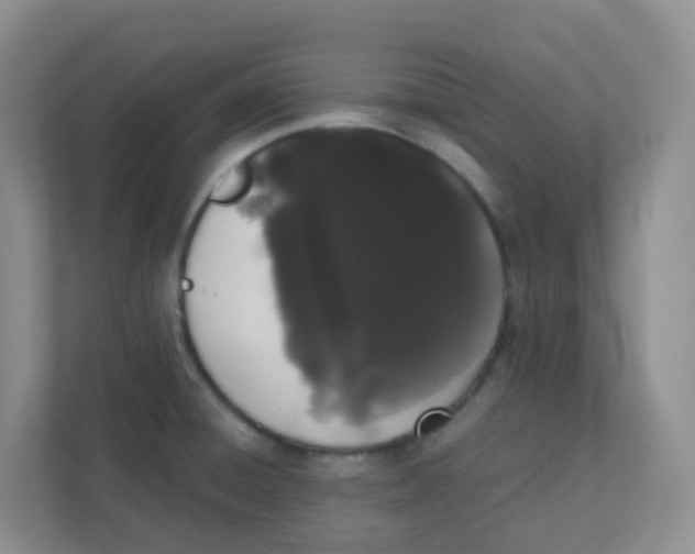 X0000111371428200907311024