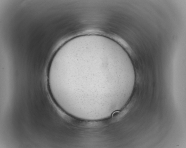 X0000111371430200907311024