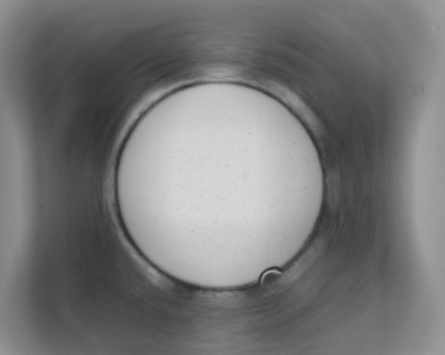 X0000111371432200907311024