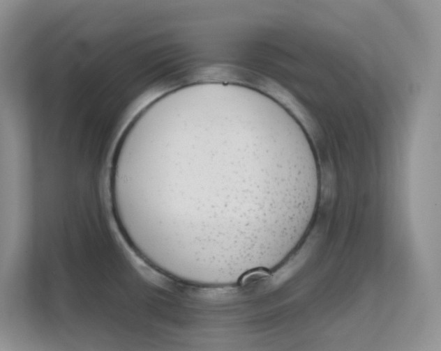 X0000111371434200907311024