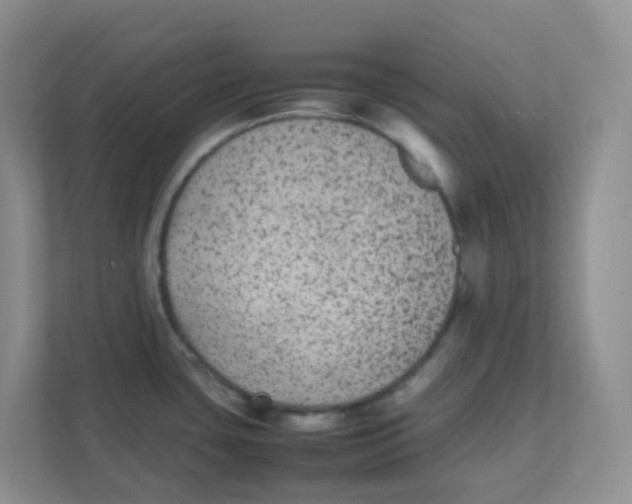 X0000111371435200907311024