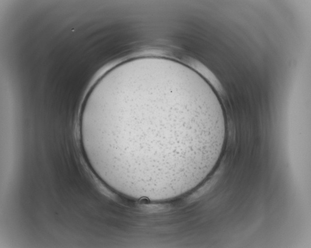 X0000111371436200907311024