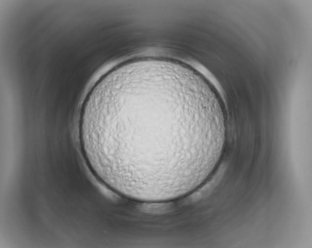 X0000111371437200907311024