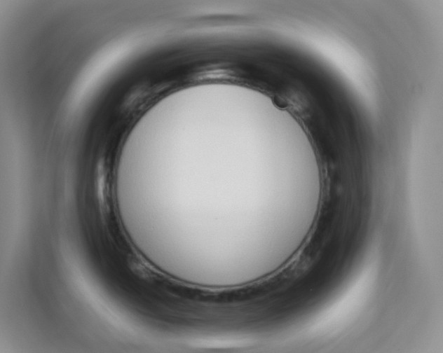 X0000111371438200907311024