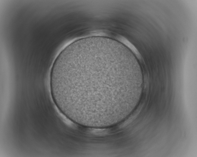 X0000111371439200907311024