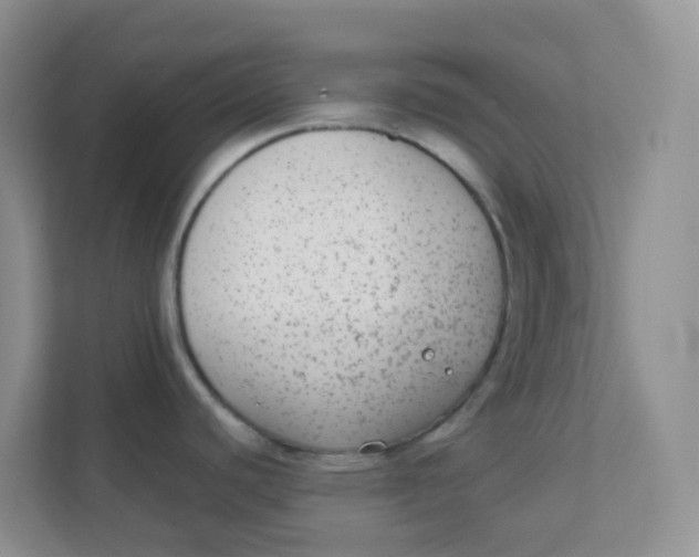 X0000111371440200907311024