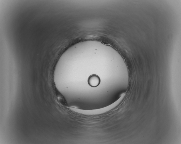 X0000111371441200907311023