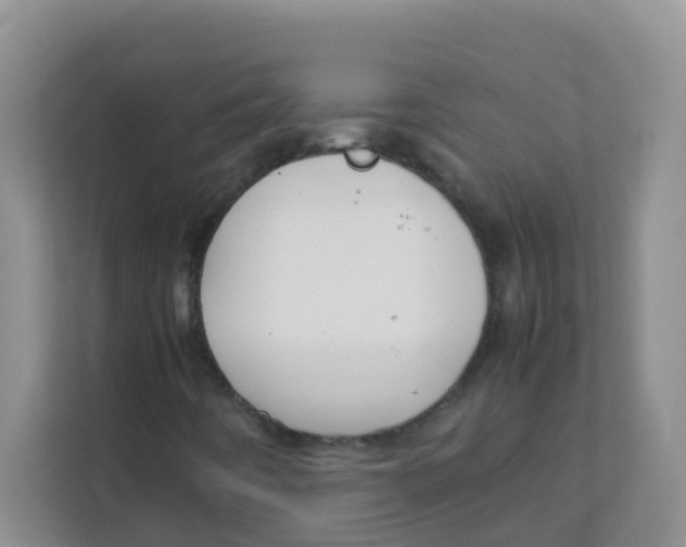 X0000111371442200907311023