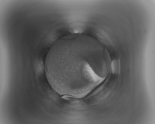 X0000111371443200907311023