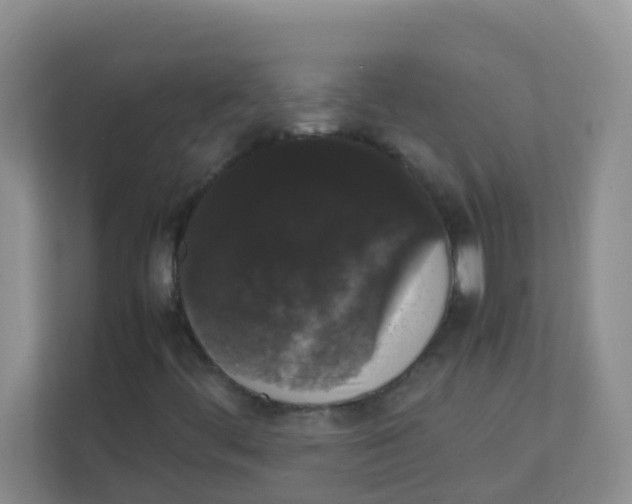 X0000111371444200907311023