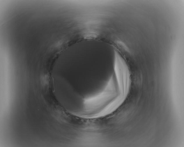 X0000111371445200907311023