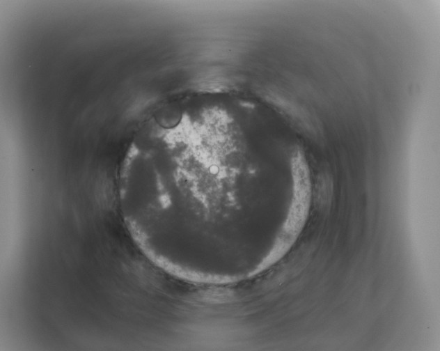 X0000111371446200907311023