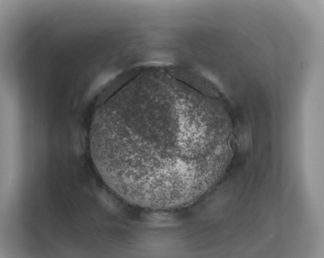 X0000111371448200907311023