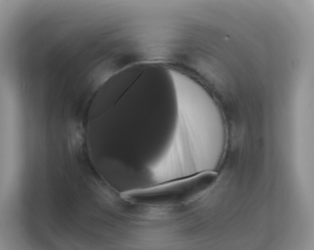 X0000111371449200907311023