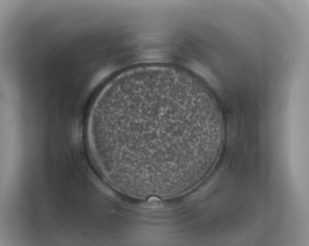 X0000111371450200907311023