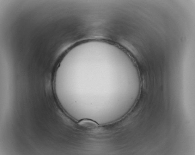 X0000111371452200907311023