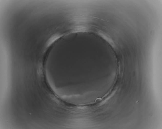 X0000111371453200907311023