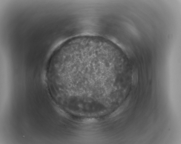 X0000111371454200907311023