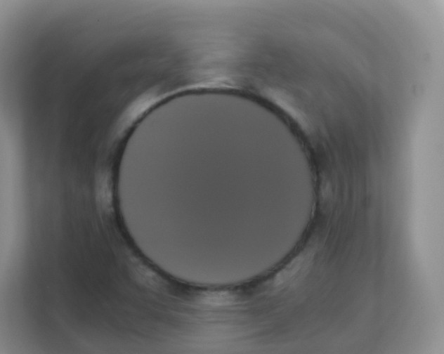 X0000111371455200907311023