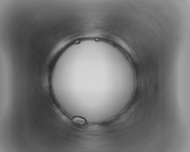 X0000111371456200907311023