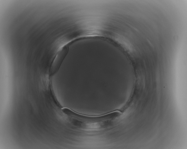 X0000111371457200907311023