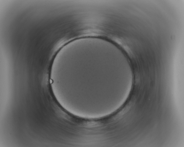 X0000111371459200907311023