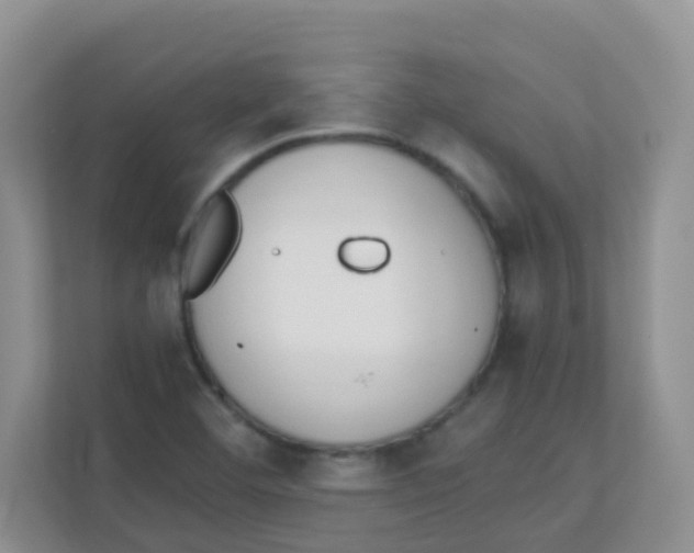 X0000111371460200907311023