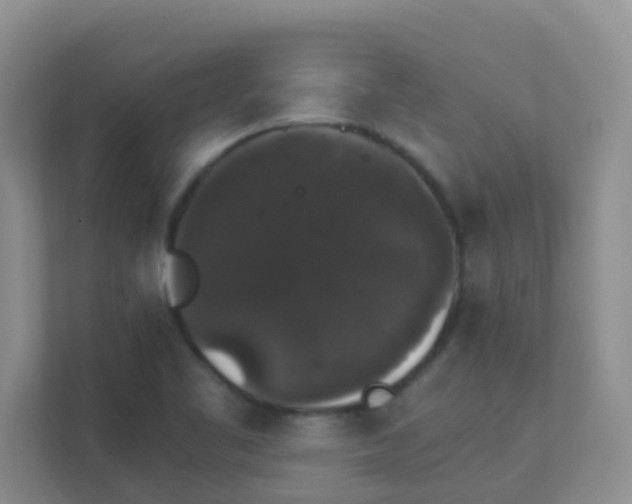 X0000111371461200907311023