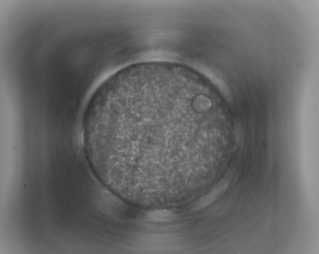 X0000111371462200907311023