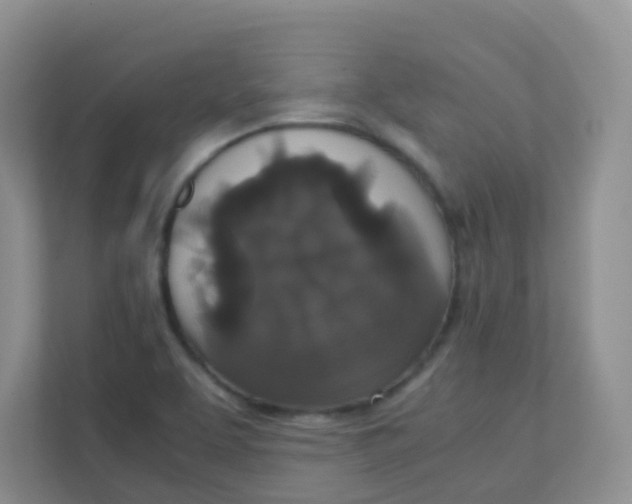 X0000111371463200907311023