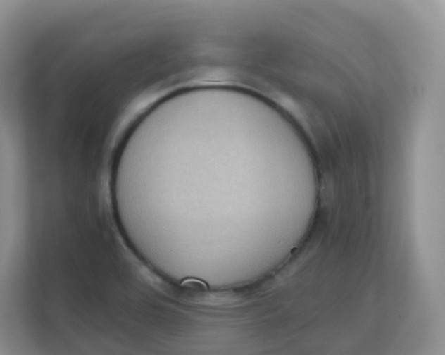 X0000111371464200907311023