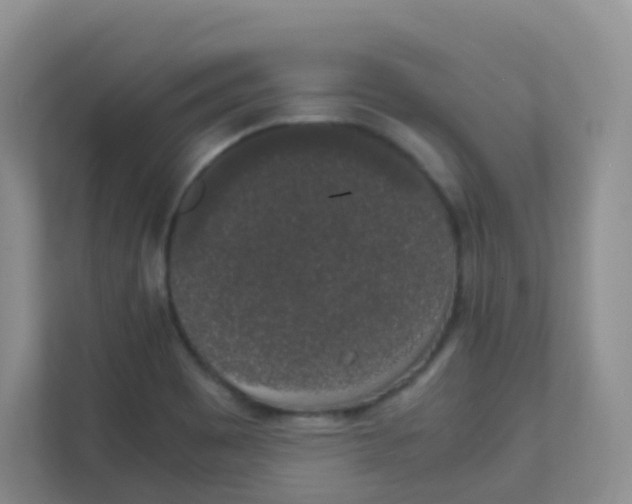 X0000111371465200907311023