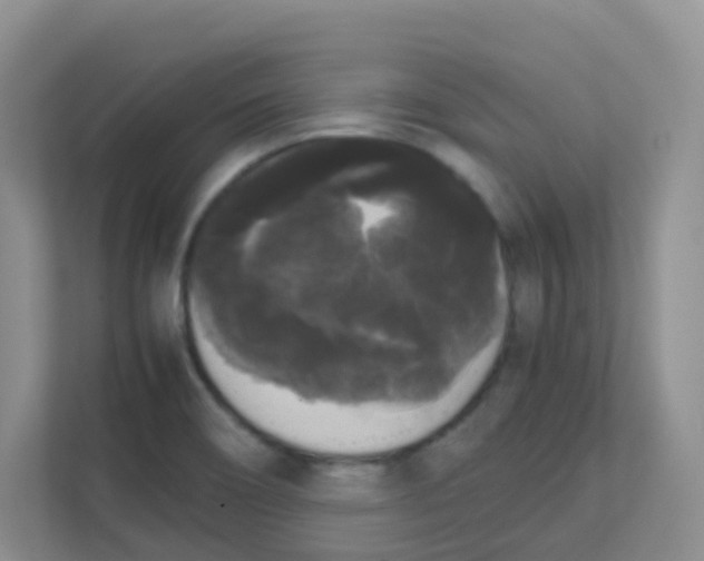 X0000111371466200907311023