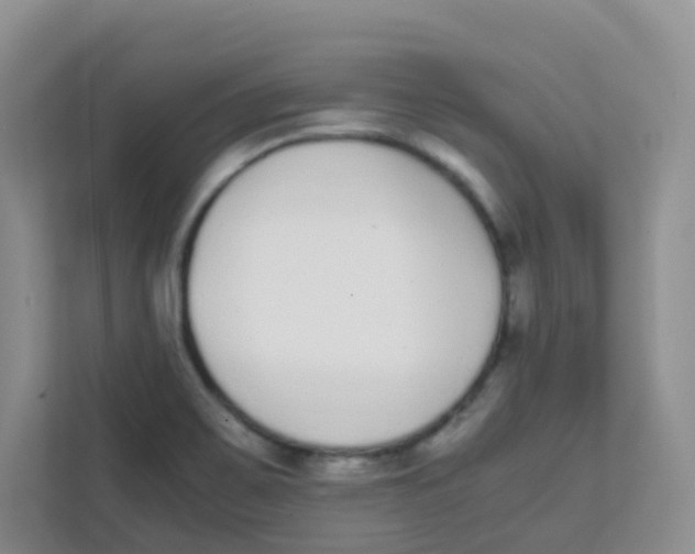 X0000111371467200907311023